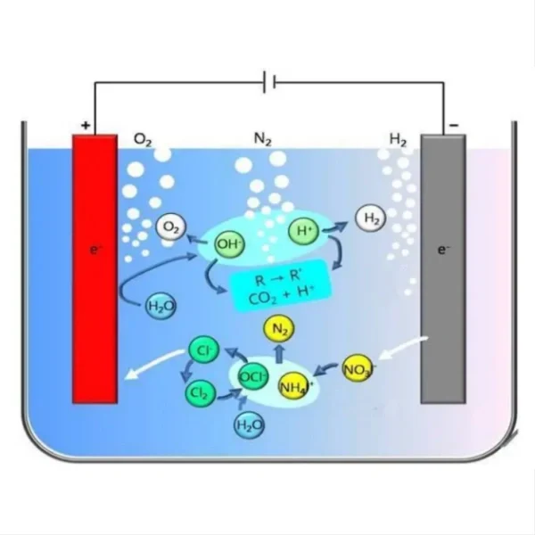 Removal of ammonia nitrogen  Anode